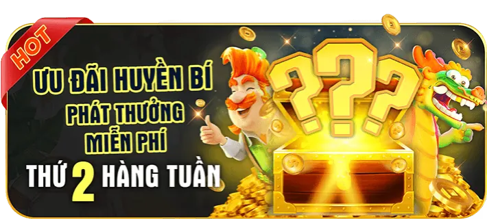 Điền Thông Tin